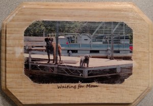 img_20150801_112225605